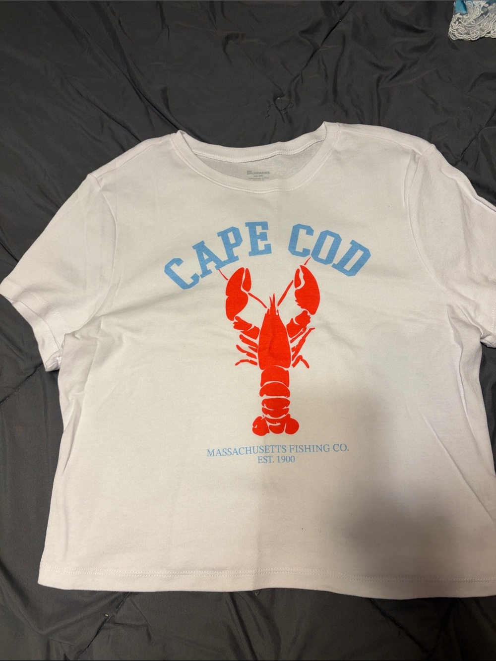 No Boundaries White Tee with Red Lobster & Light Blue Cape Cod Print
